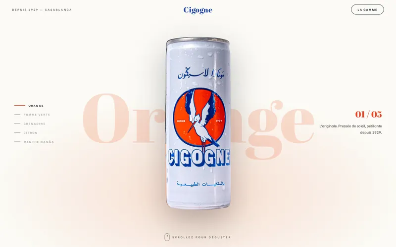 Aperçu du site Cigogne, réalisé par Ghassanova SEO