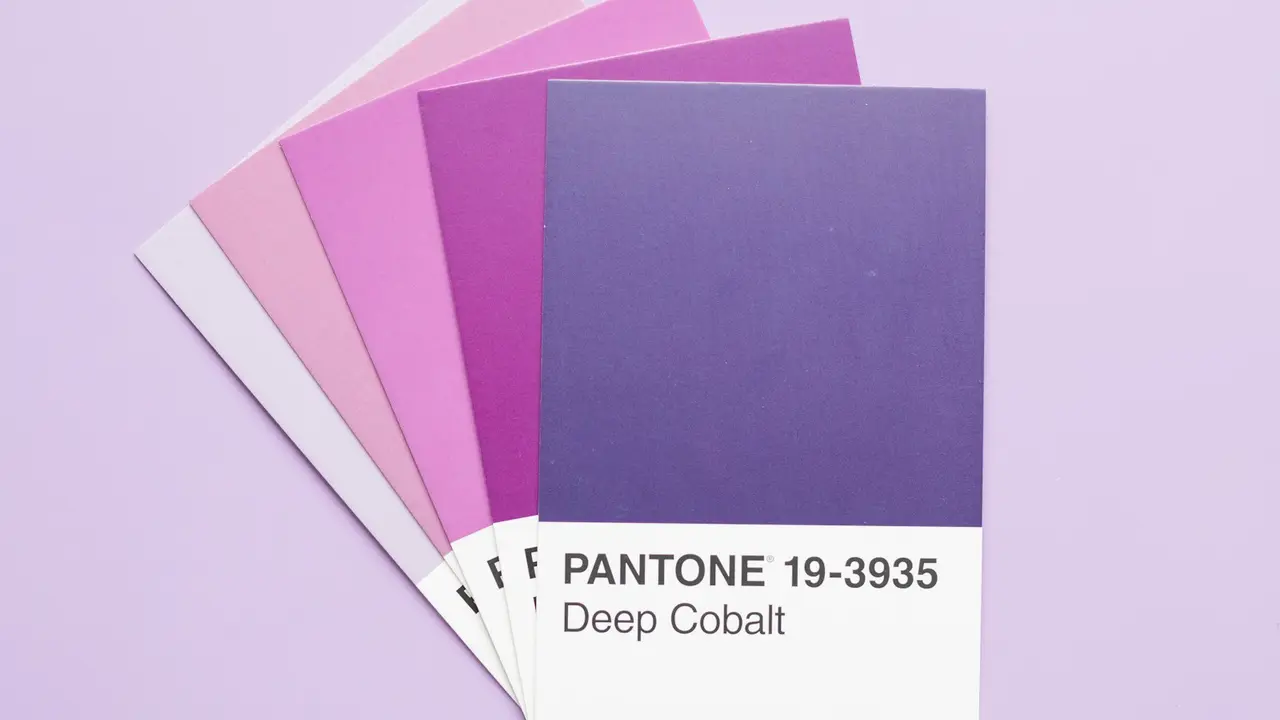Nuancier de couleurs violettes en éventail